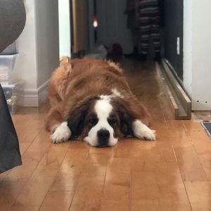 Meet your Posher, Jill